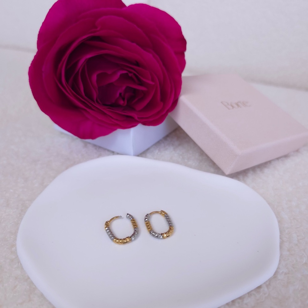 Elegant Gold and Silver Hoop Earrings